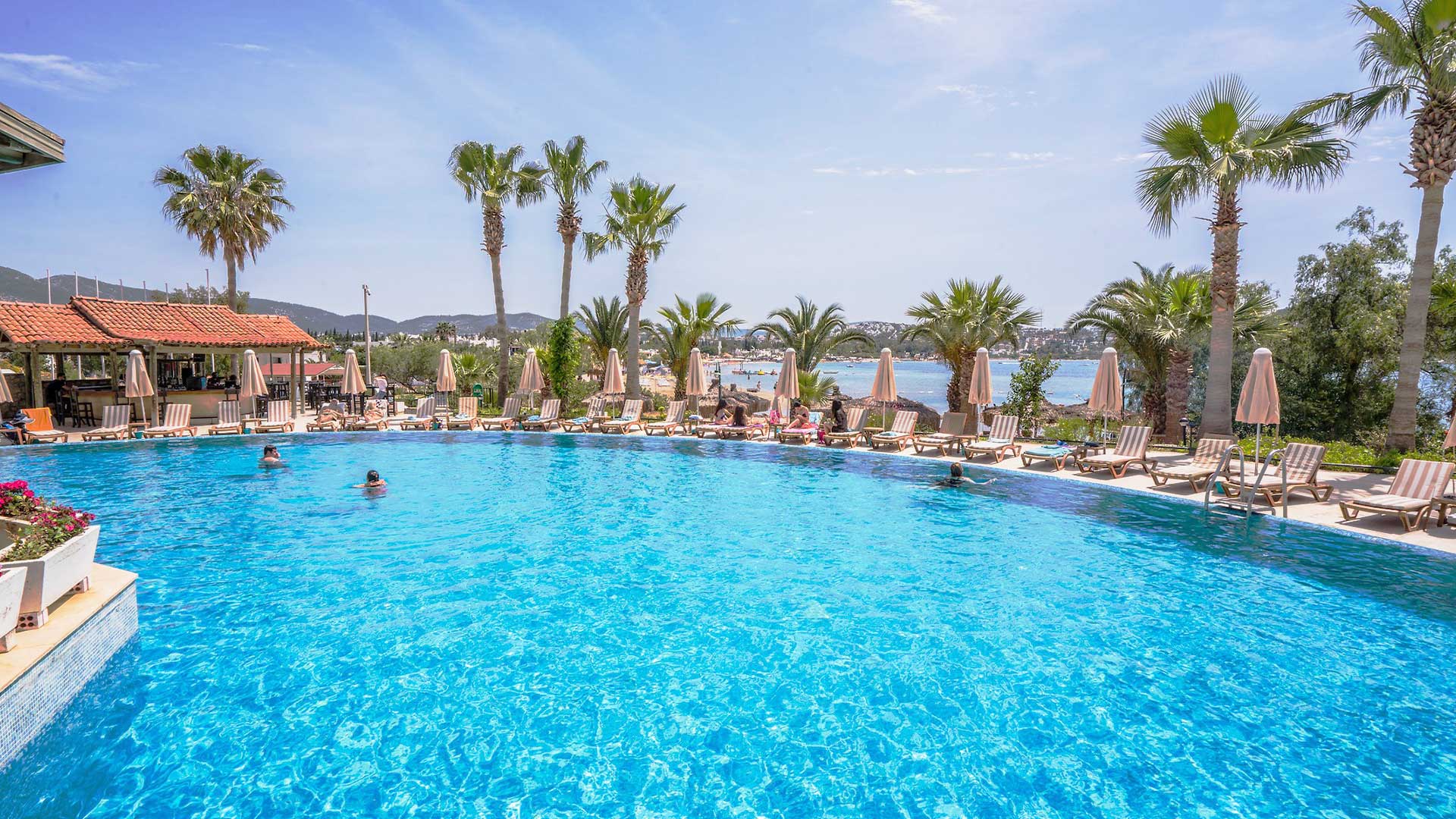 Costa 3S Beach havuz manzarasi